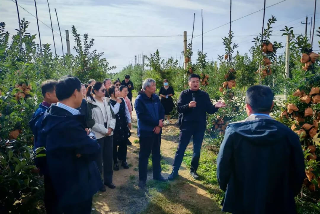 山东沂南：集聚四类人才 激起乡村“一池春水”